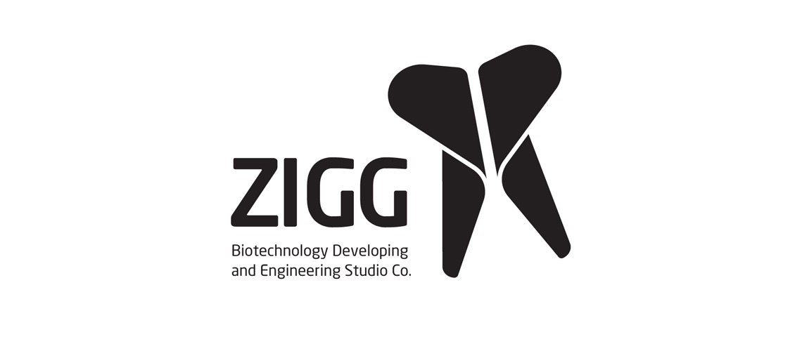 ZIGG BIOTECHNOLÓGIAI MÉRNÖKI FEJLESZTŐ ZRT. ARCULATA